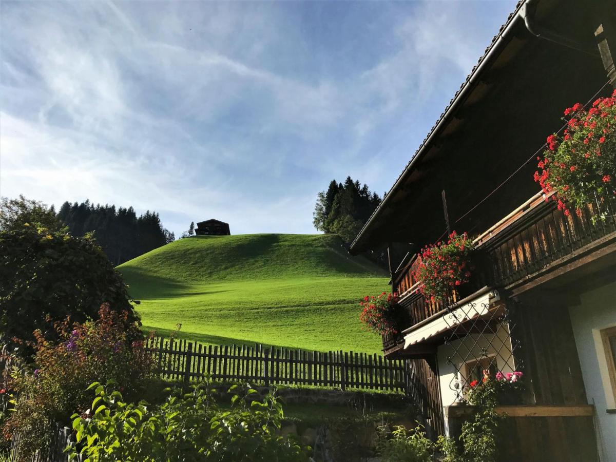 Apartment Chalet Edelweiss - Wil001 By Interhome Auffach Buitenkant foto