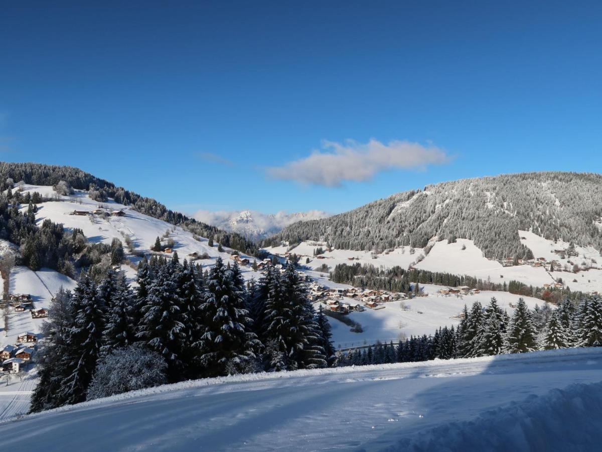 Apartment Chalet Edelweiss - Wil001 By Interhome Auffach Buitenkant foto