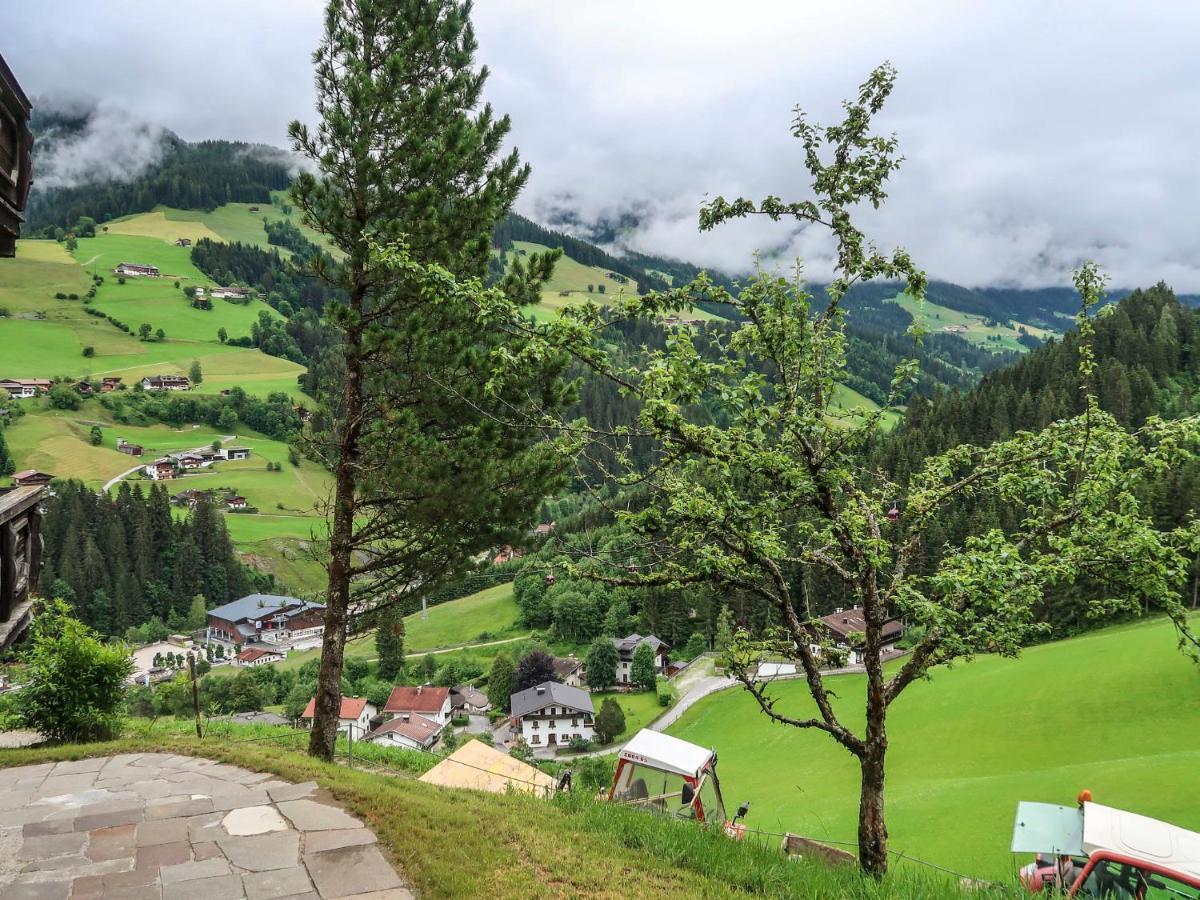 Apartment Chalet Edelweiss - Wil001 By Interhome Auffach Buitenkant foto