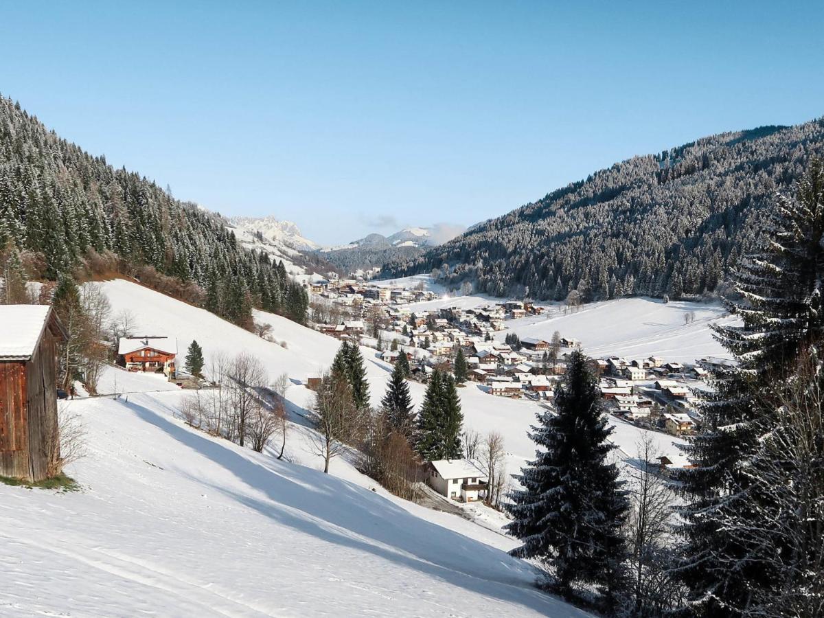 Apartment Chalet Edelweiss - Wil001 By Interhome Auffach Buitenkant foto